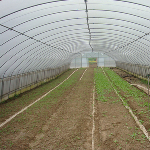 8X60M Gegalvaniseerd Stalen Frame Tunnel Huis Agrarische Kas - Product Image 5