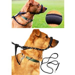 Snug stoper ile 8 köpek naylon PP halat tasma kayma kurşun şok baskın şekil - Product Image 3