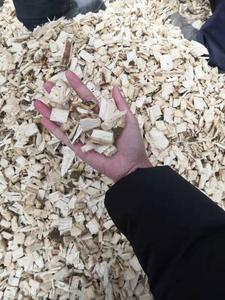 <span class=keywords><strong>Trituradora</strong></span> <span class=keywords><strong>de</strong></span> palés <span class=keywords><strong>de</strong></span> madera profesional - Product Image 6