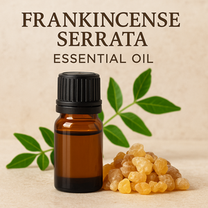 Frankincense Serrata Essential <b>Oil</b> Pure Natural Resin Aromatherapy Grade Steam Distilled <b>Oil</b> for Skin Care Meditation <b>Diffuser</b> - Product Image 2