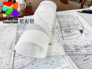 Pet Matte soạn thảo phim lý tưởng cho <span class=keywords><strong>Cad</strong></span> âm mưu, không có vàng hoặc mờ dần - Product Image 6