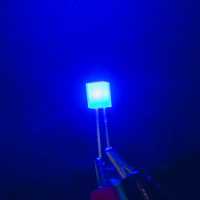 Couleur personnalisée 557 carré DIP LED 5mm Diode rouge 620 625 nm bleu 460 465 nm vert 520 525 nm pour indicateur et affichage lumineux