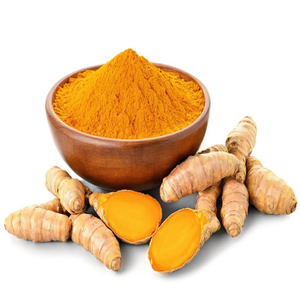 Longsheng 95% Hữu Cơ tinh khiết NGHỆ CURCUMIN bột chiết xuất thảo dược Curcuma longa gốc đóng gói trong có thể hoặc nhựa container - Product Image 4