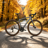 Hochwertiges Carbonfaser RS 24-Gang Gravelbike mit hydraulischen Scheibenbremsen und Standardpedalen für Straßentouren