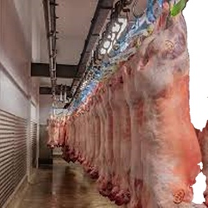 Equipo <span class=keywords><strong>de</strong></span> matadero Ritual Ram <span class=keywords><strong>para</strong></span> matadero <span class=keywords><strong>de</strong></span> cordero, proceso <span class=keywords><strong>de</strong></span> carne, transportador <span class=keywords><strong>de</strong></span> carnicería - Product Image 1