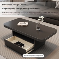 Table basse rectangulaire en ardoise de style luxe léger avec espace de rangement pour petits salons, mobilier de salon minimaliste italien