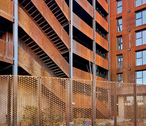 Paneles de <span class=keywords><strong>hierro</strong></span> para privacidad de jardín, cercado decorativo doble de lujo para el hogar, puertas y cercas para patios delanteros - Product Image 4