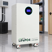 Batterie 16 kWh 51,2 V 314 Ah avec surveillance par application Bluetooth, montage mural, sortie 20-30 kW, protection IP21 pour le stockage quotidien d'énergie solaire