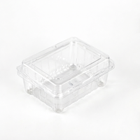 Conteneur en plastique transparent personnalisé pour fruits, emballage blister avec trous d'aération, boîte d'emballage pour fruits frais, vente en gros