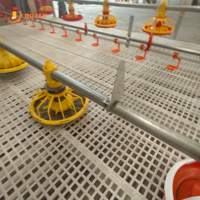 Système d'alimentation automatique pour poulets en cage, équipement pour élevages de poulets de chair commerciaux, fabricant direct d'usine, solution complète