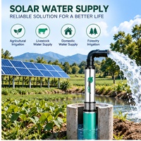 Pompe à eau solaire submersible DC 48V 60V ZQJ en acier inoxydable sans balais pour puits profond, idéale pour l'irrigation agricole