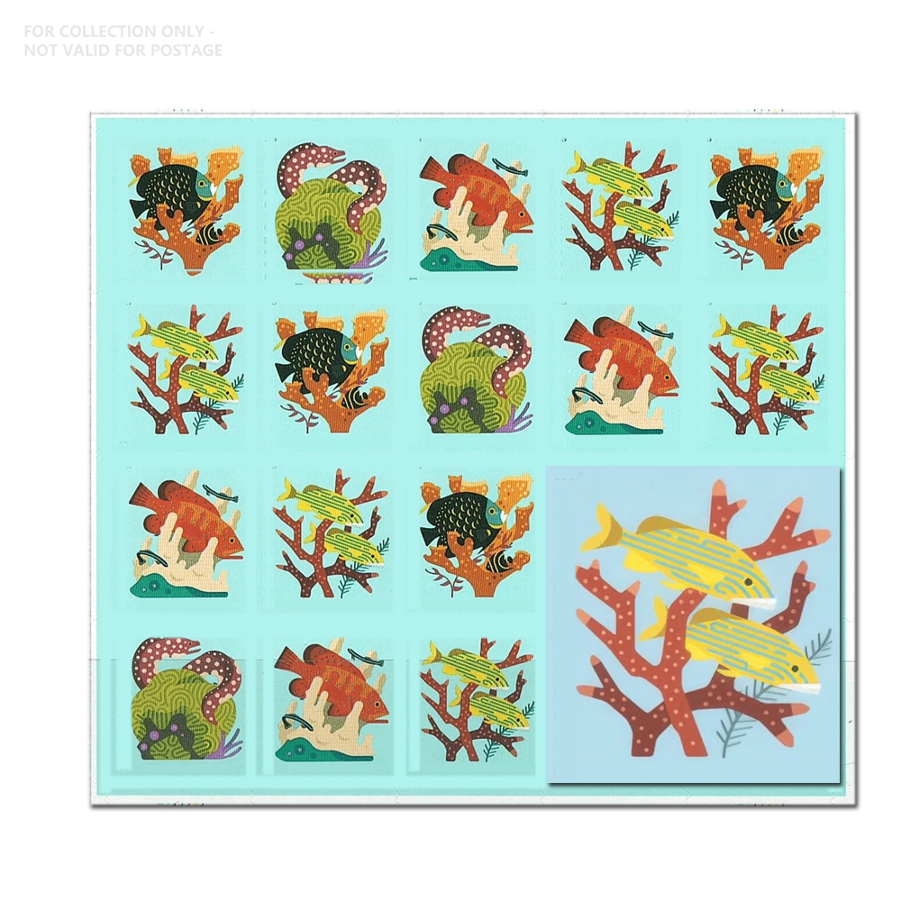 Blanco Y46 2019 Arrecifes de Coral