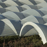 Serre tunnel agricole multi-chapelles de 1 hectare pour la culture des myrtilles et des fraises avec abri de protection contre la pluie