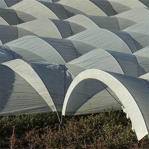 Serra a tunnel multispan da 1 ettaro per agricoltura, con sistema di drenaggio per mirtilli e fragole - Product Image 5