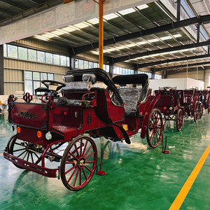 รถม้าไฟฟ้าผลิตในจีน รถม้าหรูหราสำหรับการท่องเที่ยวระดับไฮเอนด์ - Product Image 5