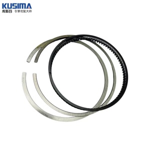 Usine STD 025 050 EA888 Jeu de segments de piston de cylindre de moteur pour AUDI VW 1.8 FSI 2.0 FSI OE 06J198151M 06H198151D Pièces de moteur - Product Image 5