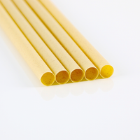 Personnalisation du fabricant OEM paille à boire en fibre de canne à sucre compostable biodégradable 12 mm à pointe pointue pour jus