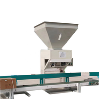 Machine d'emballage horizontale à grande vitesse pour pâtes spaghetti, équipement d'emballage automatique en sachet pour aliments et boissons avec contrôle PLC