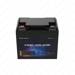 Batería de Litio de Alta Potencia de 12V 12.8V 20Ah 256wh para Reemplazo de Batería de Plomo-Ácido DL-1220 Batería de Iones de Litio de 12V 20Ah - Product Image 1