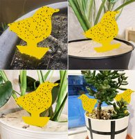 Pièges à insectes décoratifs bicolores irréguliers personnalisés, commande en gros pour les magasins de jardinage