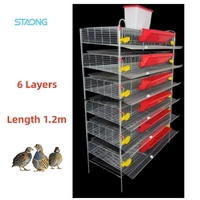 Cage à cailles en maille avec structure de type H pour une production avicole durable à grande échelle