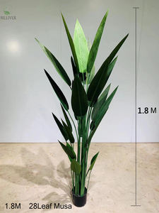 1,6 M <span class=keywords><strong>Canna</strong></span> pot hogar sala de estar decoración bonsai árbol artificial hojas verdes hogar boda decoración plantas artificiales - Product Image 5