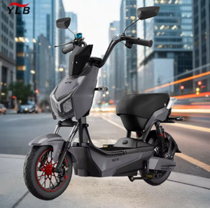 Bicicleta Eléctrica Urbana de Alta Calidad, Fabricada en China, con Motor sin Escobillas, Cuadro de Acero al Carbono, Autonomía de 50-60 km, Venta Directa - Product Image 1