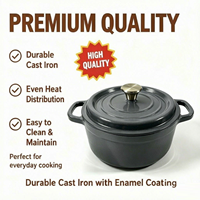 Cocotte en fonte émaillée certifiée LFGB FDA, vente en gros, compatible four et induction, ustensiles de cuisson en fonte