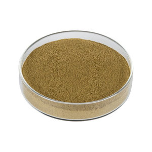 Pó de Extrato Herbal de <span class=keywords><strong>Kiwi</strong></span> Rico em Vitamina C 100% Solúvel em Água <span class=keywords><strong>10</strong></span>:<span class=keywords><strong>1</strong></span> Fornecimento em Lote em Embalagem de Tambor para Produtos de Saúde - Product Image 3