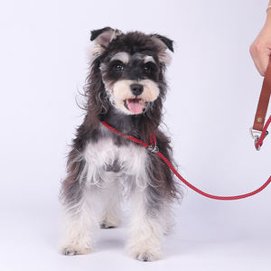 Correa para Perro Pequeño Anti-Enredos y Anti-Explosión, Correa de Nailon con Mango de Cuero, Correa para Cachorro con Mango de Cuero - Product Image 1