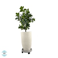Set Pot Bunga Beton Ramah Lingkungan Modern Desain Minimalis untuk Taman Rumah Luar Ruangan, Tanpa Lapisan