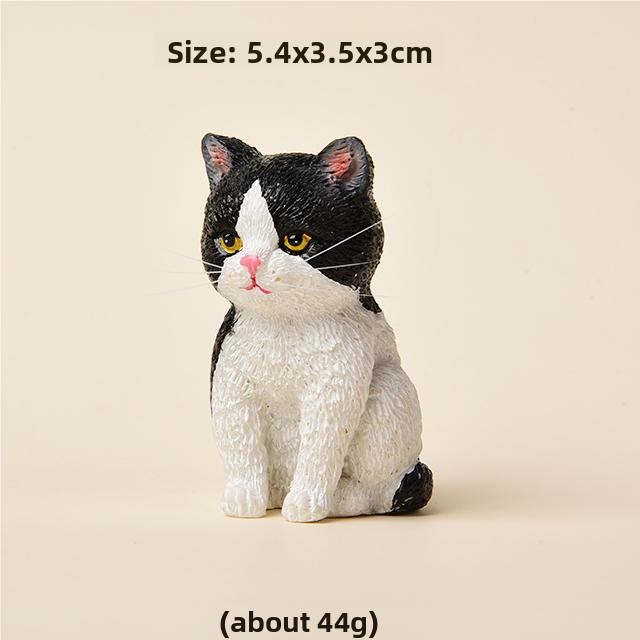6-อื่นๆ
