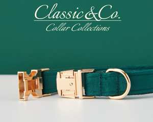 สายจูงสุนัขแบบผูกโบว์ส่วนตัวและปลอกคอสีเขียวมรกตพร้อมชื่อสลักบนหัวเข็มขัดโลหะ ของขวัญแต่งงาน จัดส่งฟรี - Product Image 5