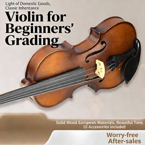 <span class=keywords><strong>Violon</strong></span> électrique personnalisé en gros 4/4 Ensemble pour débutants avec <span class=keywords><strong>violon</strong></span> fait à la main et étui pour <span class=keywords><strong>violon</strong></span> pour la pratique musicale - Product Image 4