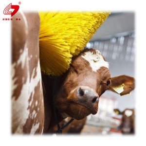 Factory Lives tock Nylon Material Kuh massage bürste Vertikale automatische rotierende Reinigung Kuh bürste - Product Image 2
