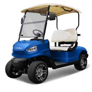 4 Wheel 2 Seater Electric Golf Car Cart Buggy