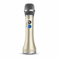 Système de microphone sans fil professionnel ODM à 2 canaux avec suppression du bruit pour karaoké