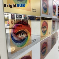 BrightSub SCX-SA300 Plaque métallique vierge pour sublimation par transfert thermique, revêtement métallique, 0,65 mm, pour impression photo, compatible Longstar Dye