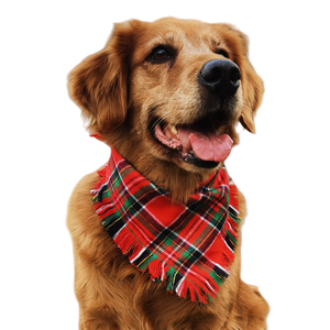 ผ้าพันคอสุนัขลายสก็อตคลาสสิกสำหรับฤดูหนาว ผ้าฝ้าย ขอบพู่ หลายขนาด สำหรับสุนัขขนาดกลาง/ใหญ่ รับผลิตแบบ OEM/ODM - Product Image 6