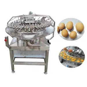 Pasteurized egg liquid breaking/egg white separating/egg yolk separator machine from egg process