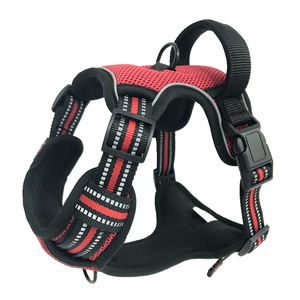 Yeni İnovasyon Köpek Tasması Seti Yumuşak Dolgulu Polyester Çevre Dostu Ayarlanabilir Dayanıklı Lüks Moda Tasarım Özel Evcil Hayvan Malzemeleri - Product Image 2