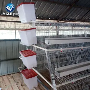 Cages de volaille à batterie galvanisée et conception de plancher pour les couches de ferme de volaille à œufs fabriqués en chine