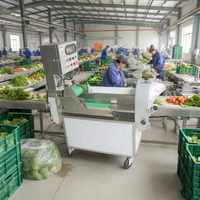 Industriële 2-kops groente-snijmachine voor bladgroenten, wortelgroenten, in plakjes, chips, schijfjes, blokjes, 1000 kg/uur, multifunctioneel, veelzijdig