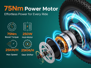 Bicicleta Eléctrica Engwe L20 250W de 7 Velocidades para Desplazamientos Urbanos, Plegable, con Batería Extraíble, Entrega a 25 Países de Europa, L20 Boost - Product Image 4