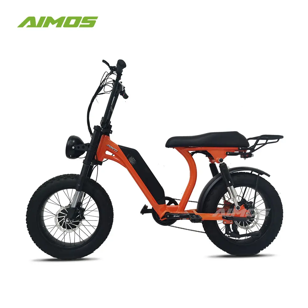 2 hub motors electric bike 20inch fat tire with one controller