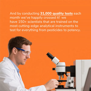 Cápsulas de Citrato de Potássio Personalizadas de Fábrica OEM/ODM Suplementos Alimentares Suplementos Minerais Essenciais para Mulheres e Homens - Product Image 4