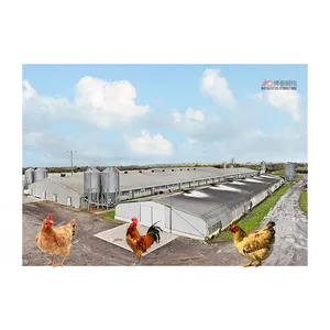 prefabricated chicken house poultry farm house design