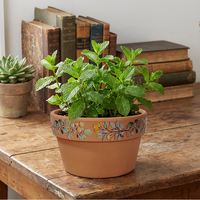 Pot de fleurs en céramique Fangsheng, style moderne, durable, léger, écologique, avec trou de drainage pour plantes succulentes