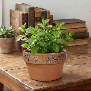 Vaso in Ceramica Resistente Fangsheng - Moderno Vaso per <span class=keywords><strong>Piante</strong></span> Succulente con Foro di Drenaggio e Decorazione per la Casa (12,5cm X 7cm) - Product Image 5