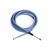 Guide de lumière à fibre optique en verre résistant à la chaleur pour traitement chirurgical endoscopique